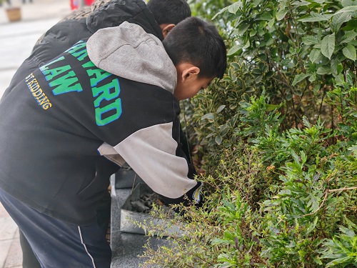 学习雷锋精神，赶做追‘锋’少年——彭州市桂花学校学雷锋主题活动