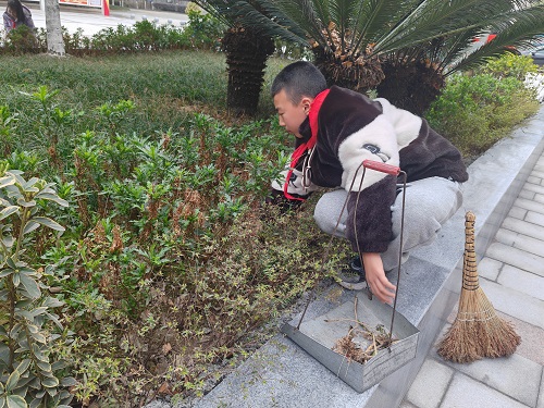 学习雷锋精神，赶做追‘锋’少年——彭州市桂花学校学雷锋主题活动