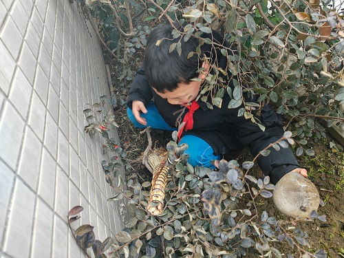 学习雷锋精神，赶做追‘锋’少年——彭州市桂花学校学雷锋主题活动