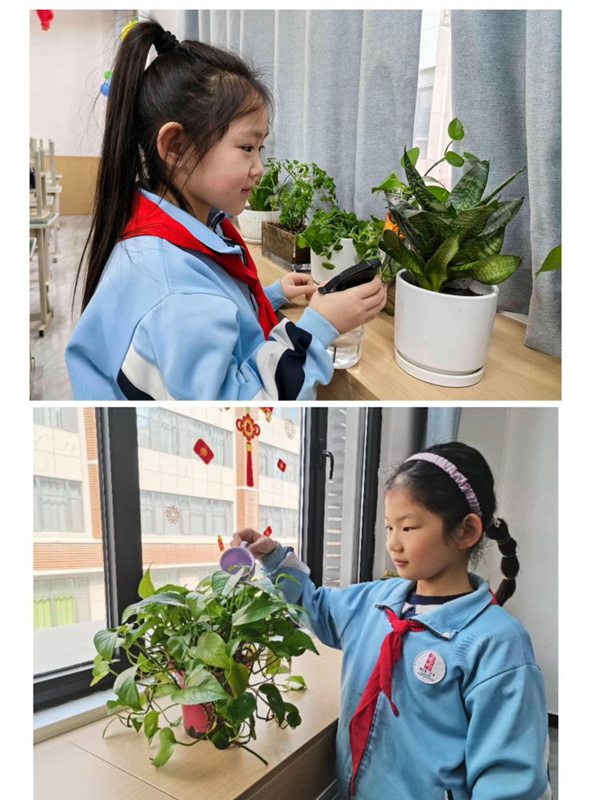 春风十里  正“植”有你——曙光第二小学植树节系列活动