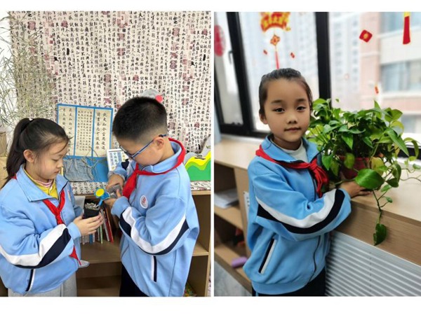 春风十里  正“植”有你——曙光第二小学植树节系列活动
