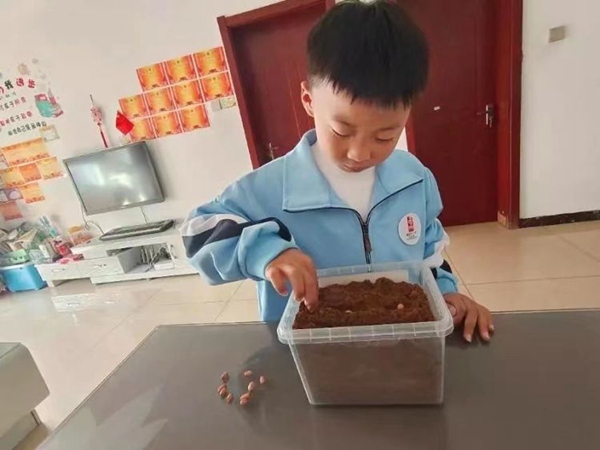 春风十里  正“植”有你——曙光第二小学植树节系列活动