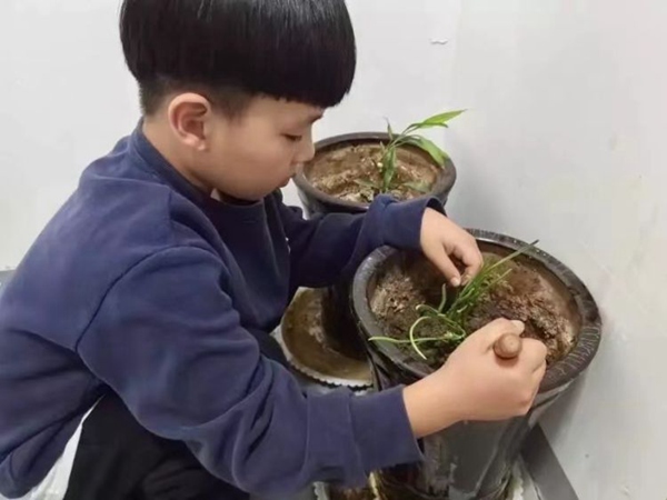 春风十里  正“植”有你——曙光第二小学植树节系列活动