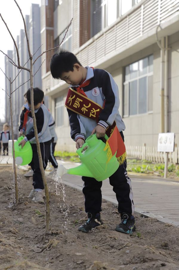 春风十里  正“植”有你——曙光第二小学植树节系列活动