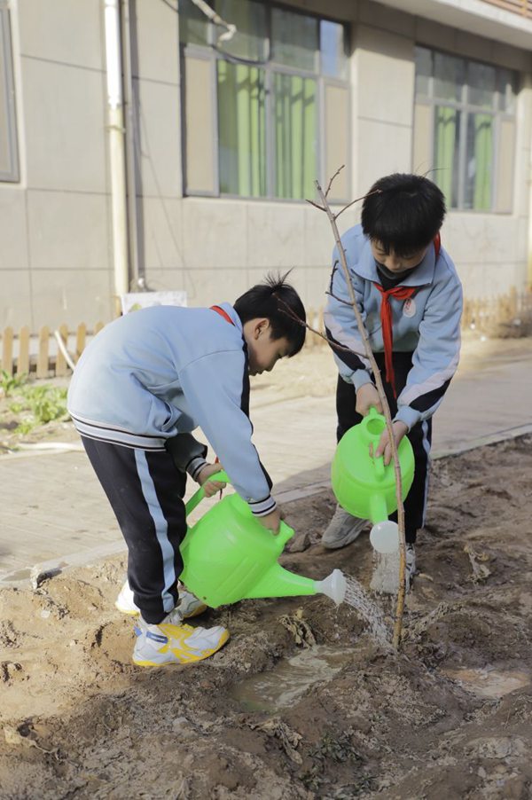 春风十里  正“植”有你——曙光第二小学植树节系列活动