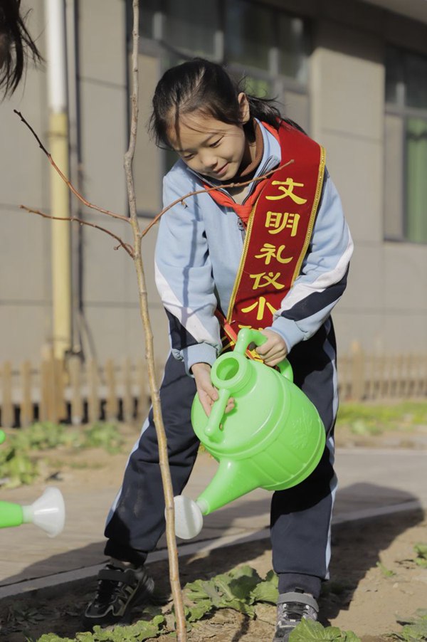 春风十里  正“植”有你——曙光第二小学植树节系列活动