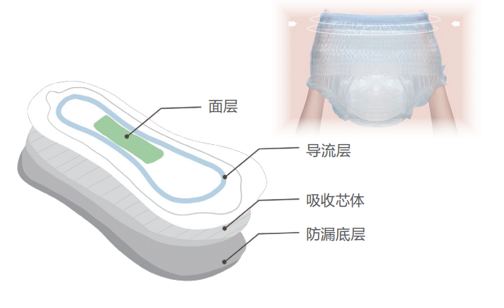 一条带你了解卫生巾科普知识 ——卫生巾科普手册