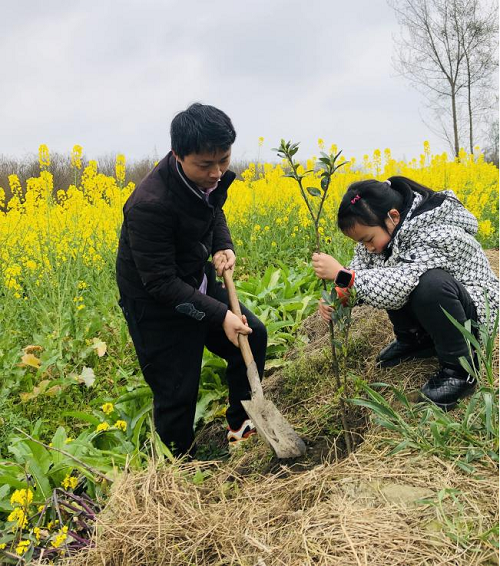 “植”根“树”魂，不负春光——彭州市北君平小学党建带队建植树节系列活动
