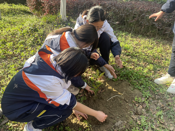 乐山一中：播种绿色，孕育希望
