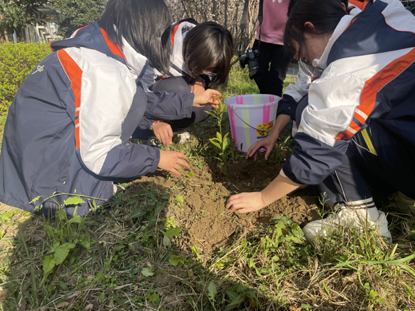 乐山一中：播种绿色，孕育希望