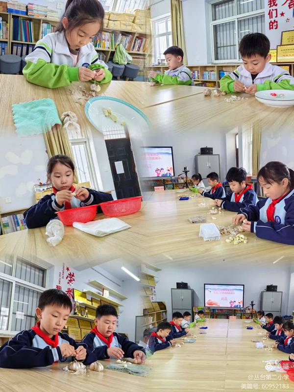 劳动赋能，乐享成长——邯郸市丛台区丛台第二小学低年级组劳动技能展示