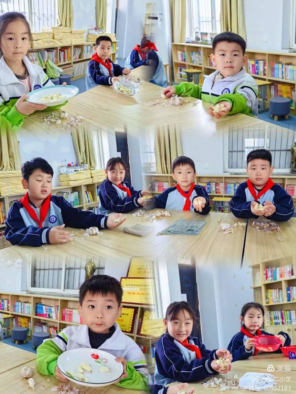 劳动赋能，乐享成长——邯郸市丛台区丛台第二小学低年级组劳动技能展示
