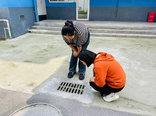 防鼠灭鼠  爱卫同行——彭州市隆丰幼儿园防鼠灭鼠活动