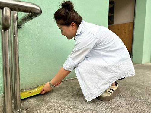 防鼠灭鼠  爱卫同行——彭州市隆丰幼儿园防鼠灭鼠活动