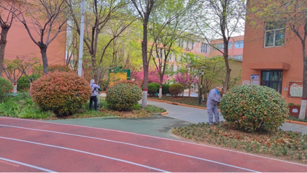 绿美校园正当时——邯郸市邯山区美的小学大力开展校园绿化行动