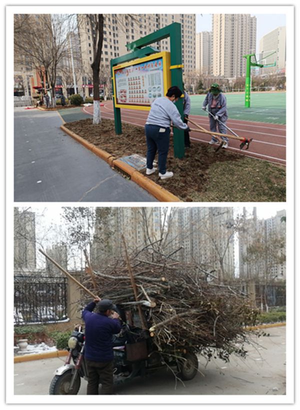 绿美校园正当时——邯郸市邯山区美的小学大力开展校园绿化行动