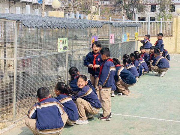 保护珍稀动物，共创和谐家园——邯郸市丛台区第二实验小学