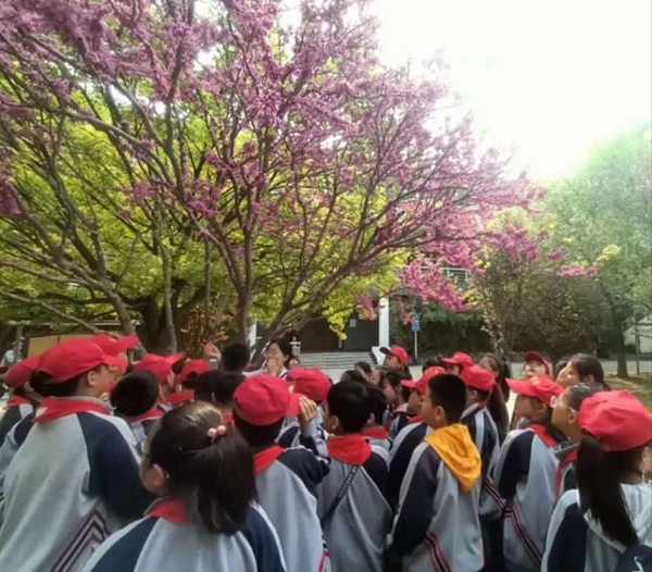 探秘科学   做新时代追梦人——邯郸市丛台区连城小学开展科学教育研学活动