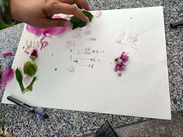 探秘科学   做新时代追梦人——邯郸市丛台区连城小学开展科学教育研学活动