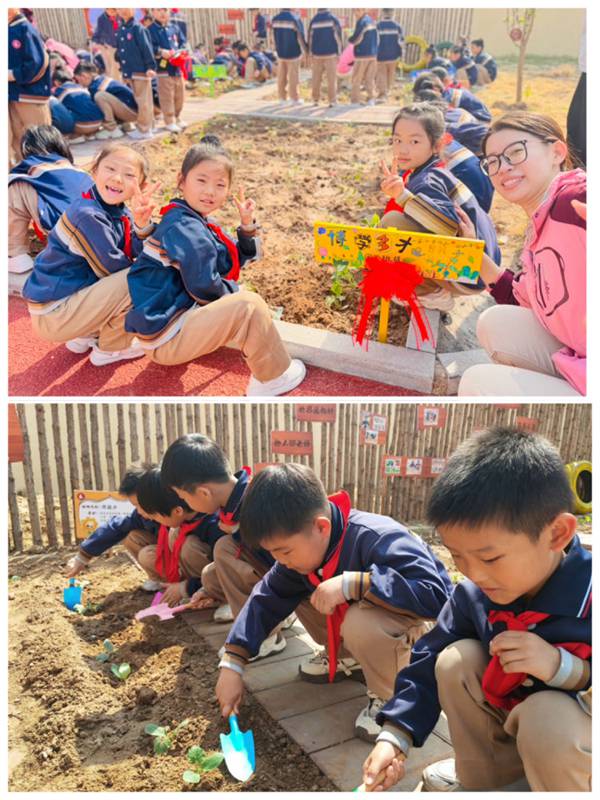 “跨”学科之美 •“融”育人之行——邯郸市从台区第二实验小学“春天+”跨学科项目化学习