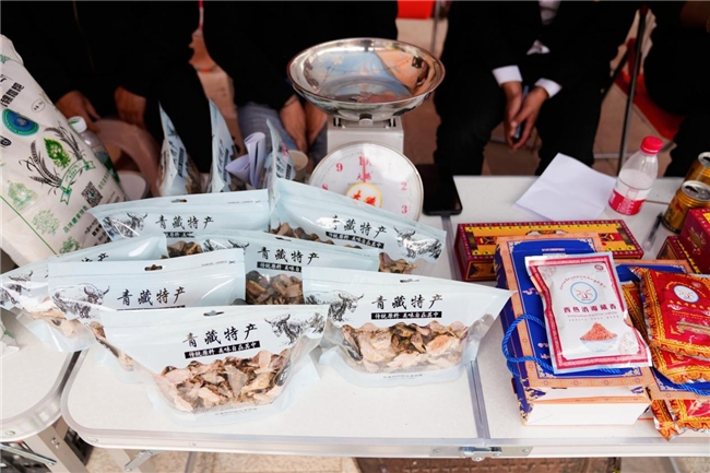 “俞”你相约吉塘,“俞”你共赏察雅