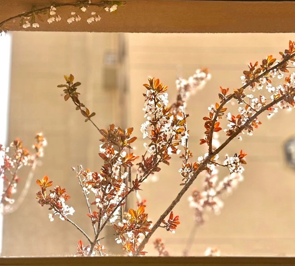 捕捉瞬间，珍藏永恒——邯郸市丛台区荀子实验第三小学教师摄影大赛
