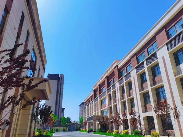 捕捉瞬间，珍藏永恒——邯郸市丛台区荀子实验第三小学教师摄影大赛