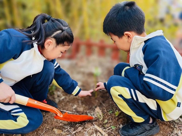 捕捉瞬间，珍藏永恒——邯郸市丛台区荀子实验第三小学教师摄影大赛