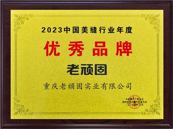 美缝剂品牌:老顽固荣膺美缝行业“优秀品牌”,品质卓越引领市场