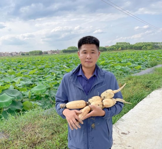 “源艺农业”夏良荣:匠心耕耘,莲藕产业的全链领航者