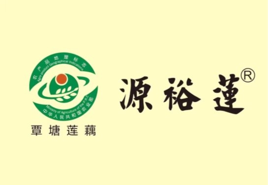 “源艺农业”夏良荣:匠心耕耘,莲藕产业的全链领航者