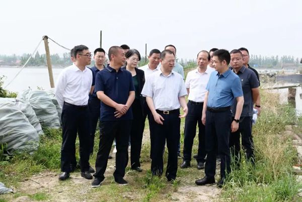 周振宇现场督导 中央生态环保督察交办件 边督边改工作