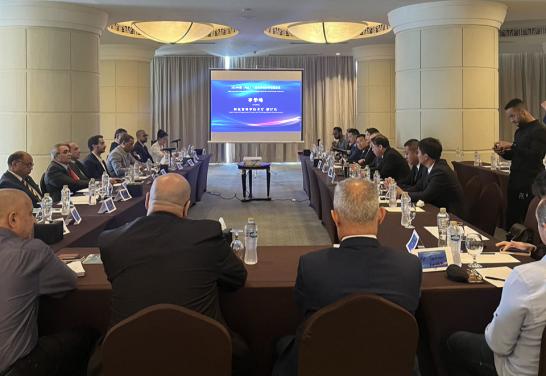 2024中国(河北)-埃及科技合作交流会成功举办