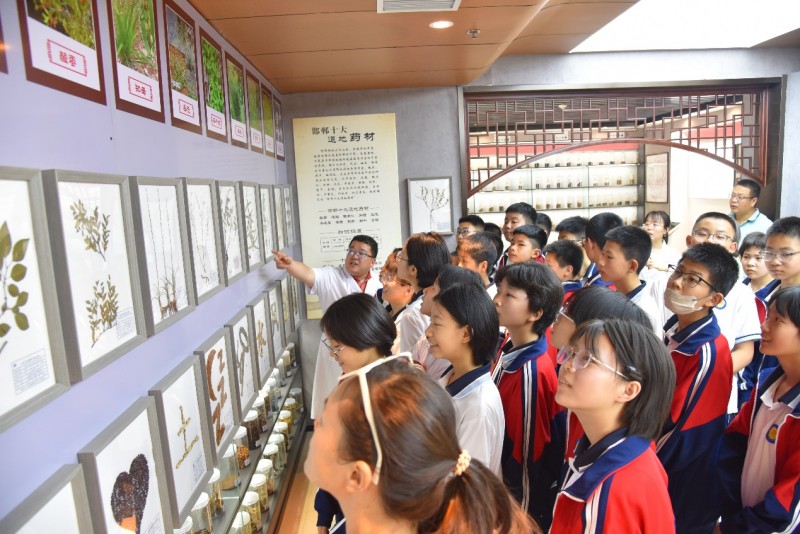 邯郸涉县中医院开展中学生体验中医药文化主题活动