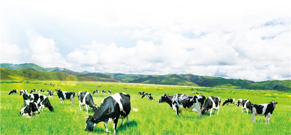践行健康中国战略，彰显民族乳企担当，完达山乳业为青少年成长助力赋能