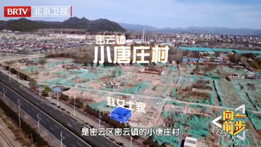 《向前一步》聚焦市级重点项目和历史遗留问题