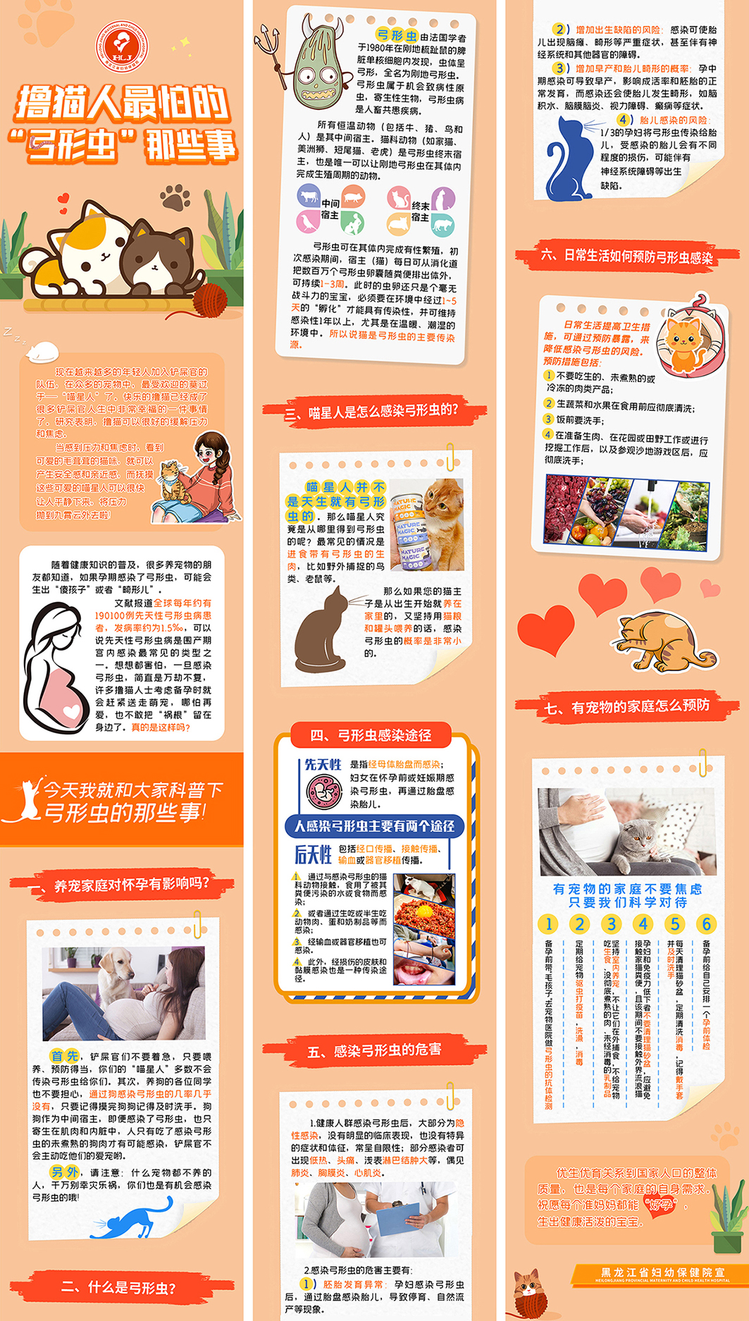黑龙江省妇幼保健院科普—撸猫人最怕的“弓形虫”那些事