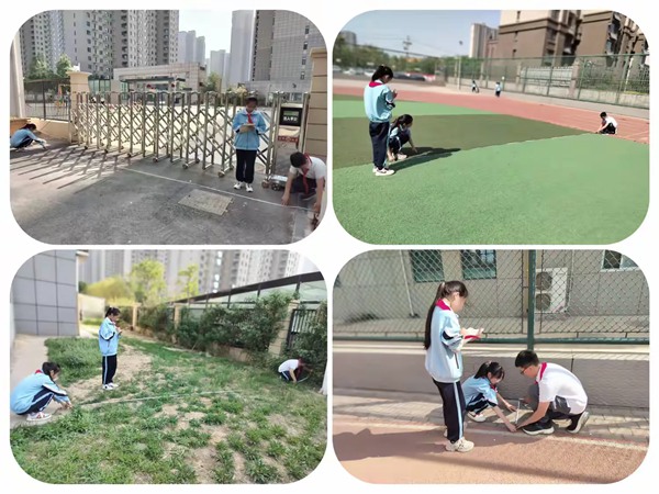 毕业季·感恩|母校烙印我的校园——邯郸市丛台区曙光第二小学