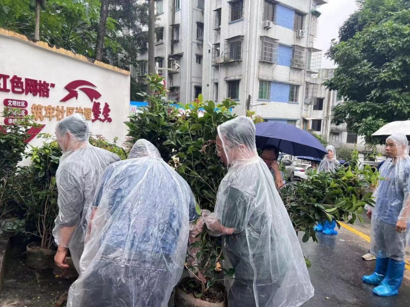 景泰街大金钟社区：共建绿美社区 助推垃圾分类