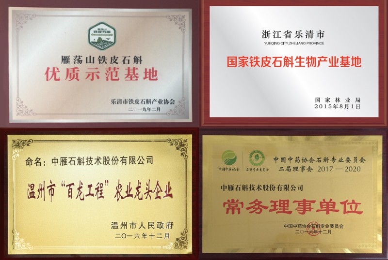 中雁石斛康凝堂：立足铁皮石斛之乡雁荡山 让世界领略“仙草”风华