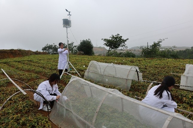 乡村要振兴，中医药在行动：用爱农情怀配出中草药“致富方”