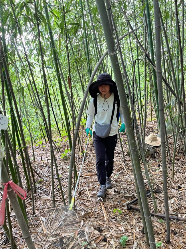 江西农业大学竹林研究团队赴瑞昌市嵋荣村开展创新施肥实验与野外样地调查