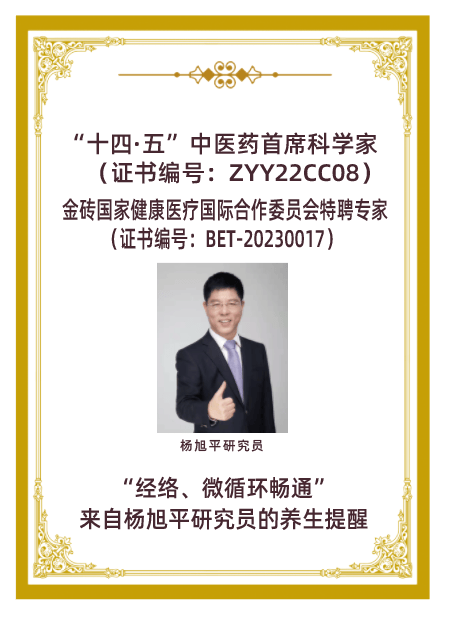 养生新纪元：云上青鼎·复配·紫米素，科技融合中医的医学创新