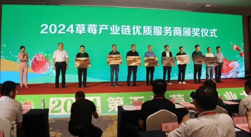 草莓种业盛会开幕 行业精英齐聚烟台尽享“莓”好盛宴