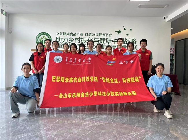 青岛农业大学巴瑟斯学院“智绘金丝,科技赋能” —赴山东乐陵金丝小枣科技小院实践团