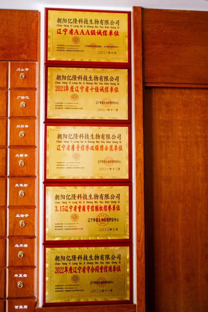 传承古方,创新未来,亿隆本草康膏药书写中医药发展新篇章