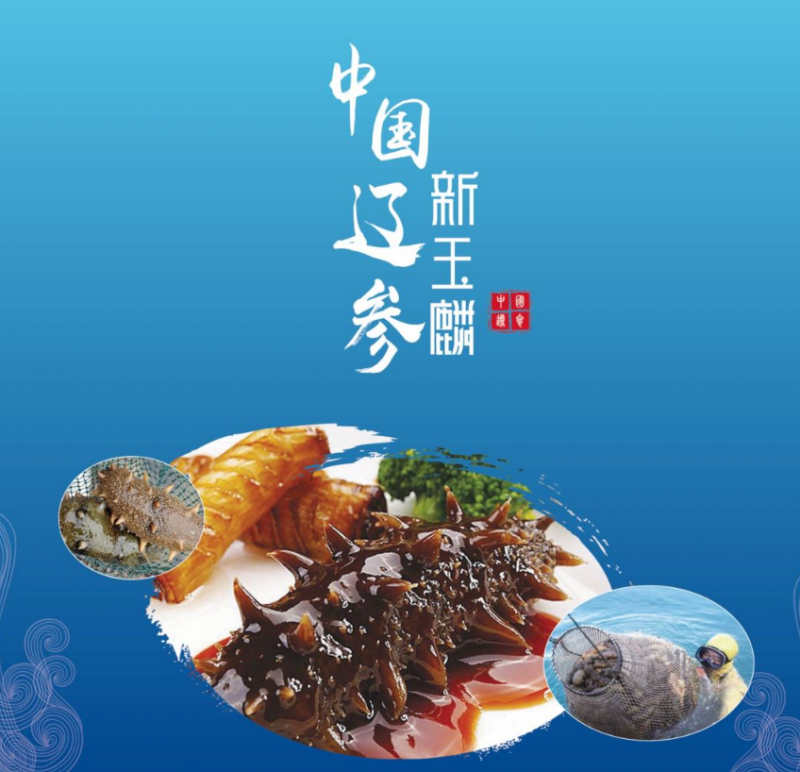 新玉麟海参：诠释海洋珍品卓越品质，创新引领产业未来