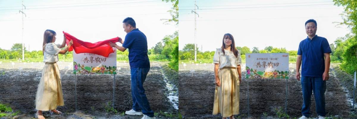 永宁路社区成功举办“温小路”共享农田丨认地播种仪式暨挂牌仪式