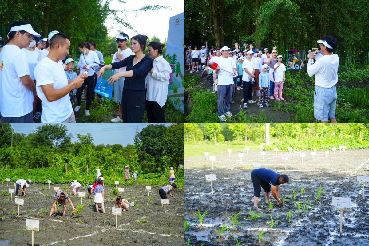 永宁路社区成功举办“温小路”共享农田丨认地播种仪式暨挂牌仪式