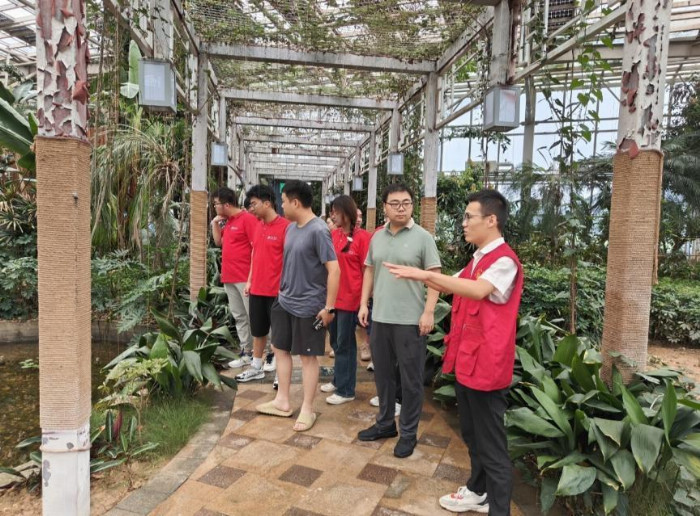 “光农融合促发展·共绘乡村新画卷：巢湖学院“阳光智汇”实践团队调研小南京村光伏产业园